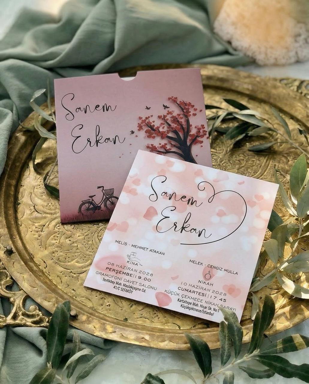 DFN-2962 - Görsel 1