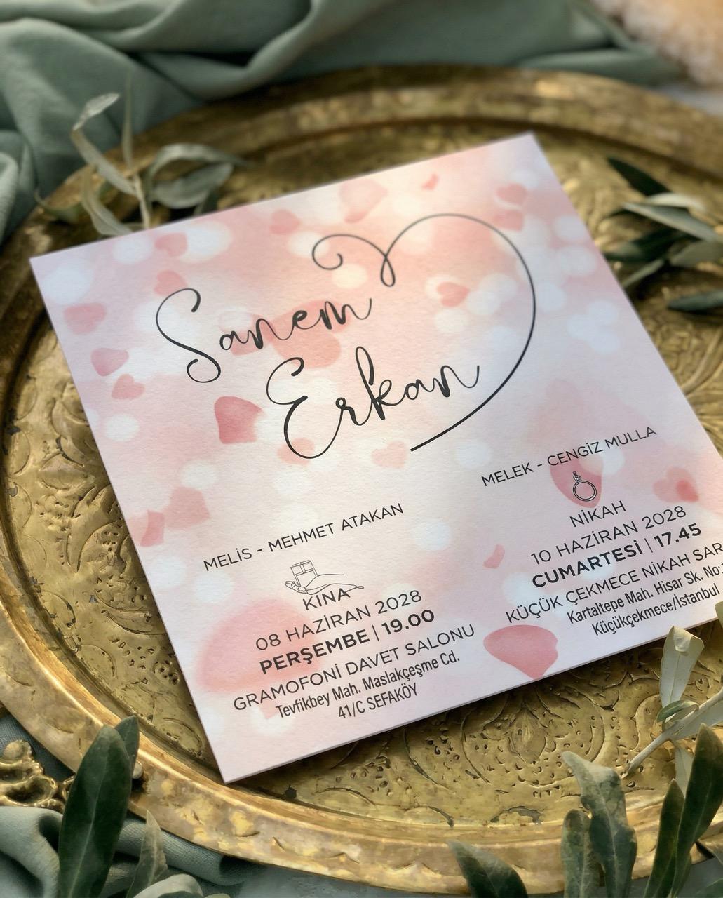 DFN-2962 - Görsel 2