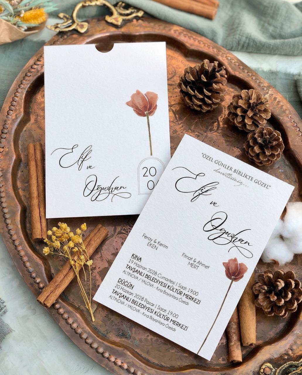 DFN-2968 - Görsel 1