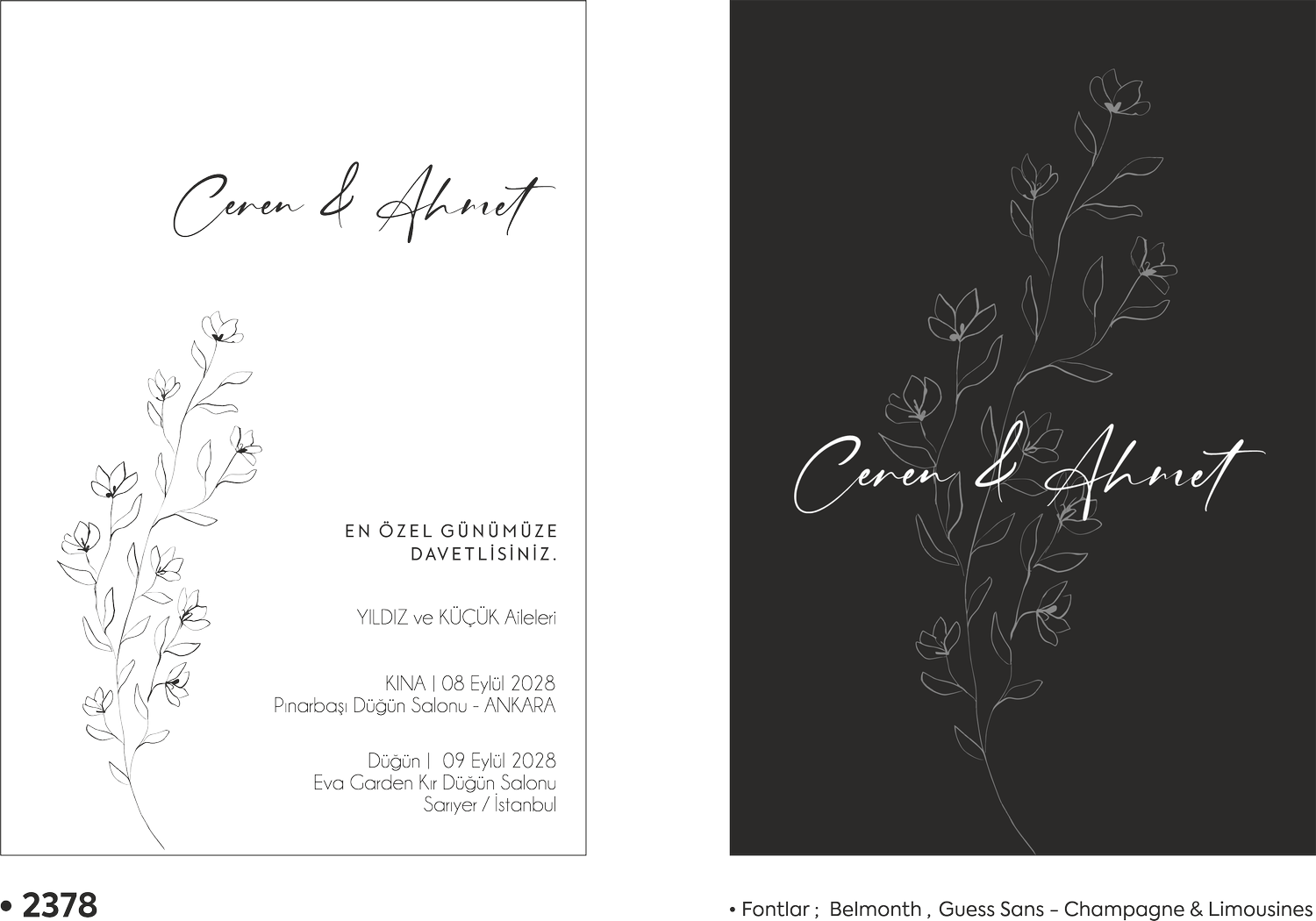 DFN-2969 - Görsel 1